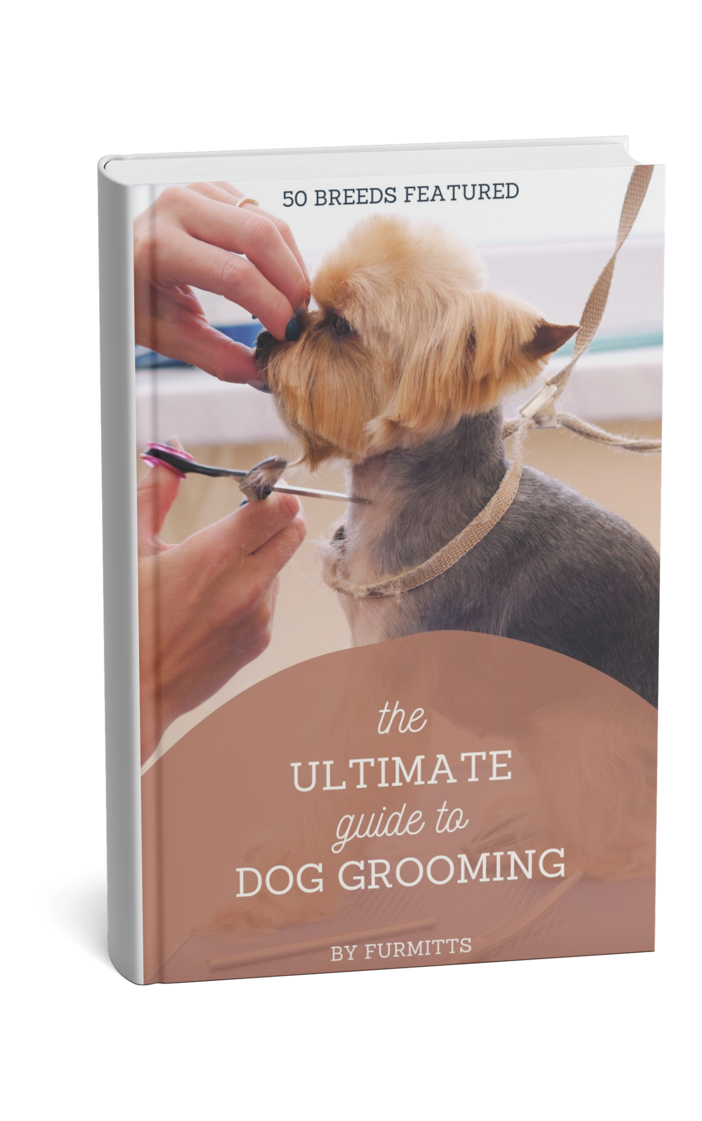Secret to Dog Grooming EBOOK