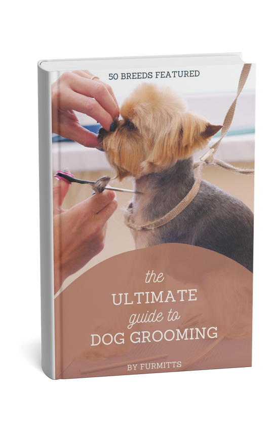 Secret to Dog Grooming EBOOK